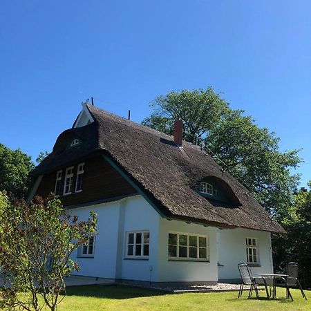 Haus Koppelweg Fw-Muschel Apartman Ahrenshoop Kültér fotó